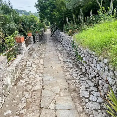 Cesina Apartman