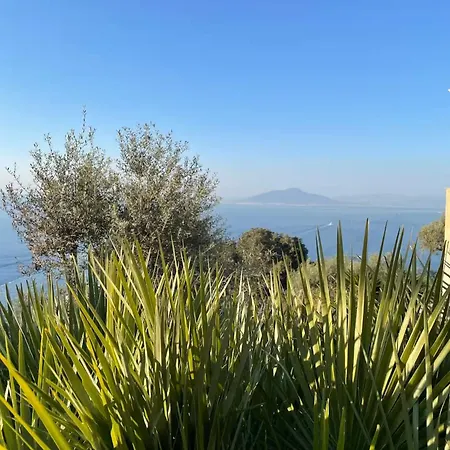 Cesina * Capri