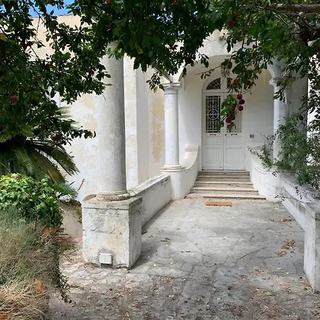 Cesina Apartamento
